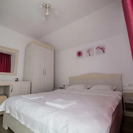 Vila Delice Guest house Navodari